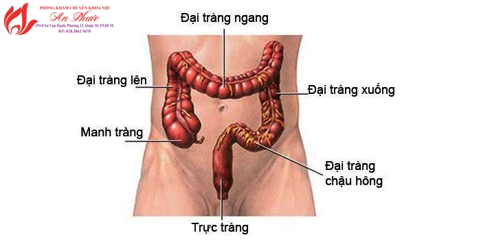 NỘI SOI TRỰC TRÀNG LÀ GÌ?