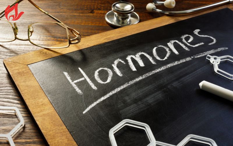 Thời kỳ mang thai là giai đoạn mà hormone estrogen tăng có thể thúc đẩy sự phát triển của bệnh hemangioma gan phả