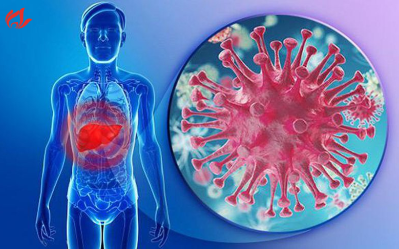 Viêm gan virus là một trong những nguyên nhân gây ra bệnh gan to