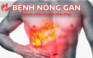 Bệnh nóng gan nên uống gì tốt?