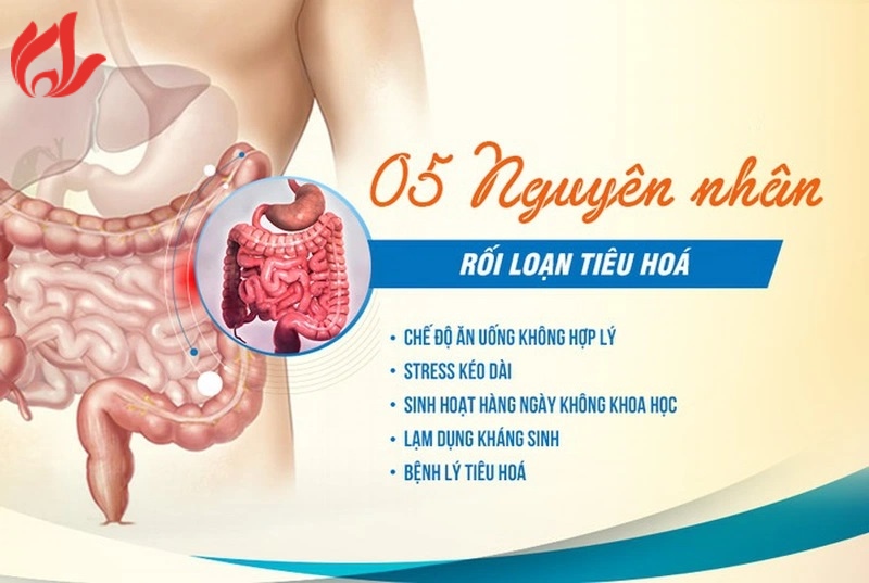 Bị rối loạn tiêu hoá nên làm gì? Nguyên nhân căn bệnh