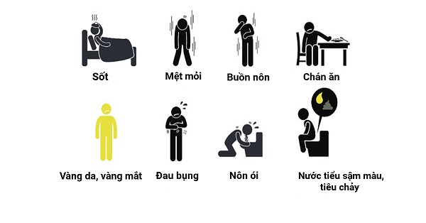 Dấu Hiệu Nhận Biết Viêm Gan Mạn Tính