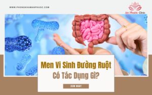 Men vi sinh đường ruột có tác dụng gì?