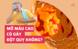 Mỡ máu cao có gây đột quỵ không