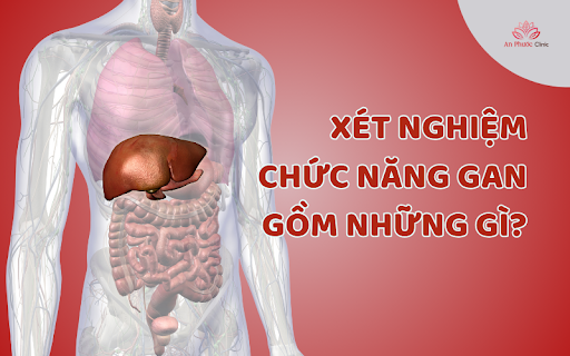 Xét nghiệm chức năng gan gồm những gì?