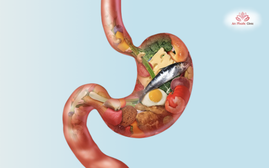 (Dạ dày là nơi chứa đựng và dự trữ thức ăn cho cơ thể)