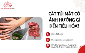 Cắt túi mật có ảnh hưởng gì đến tiêu hóa