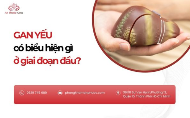 Gan yếu có biểu hiện gì ở giai đoạn đầu