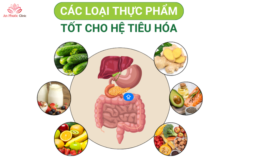 Duy trì hệ tiêu hóa khỏe mạnh