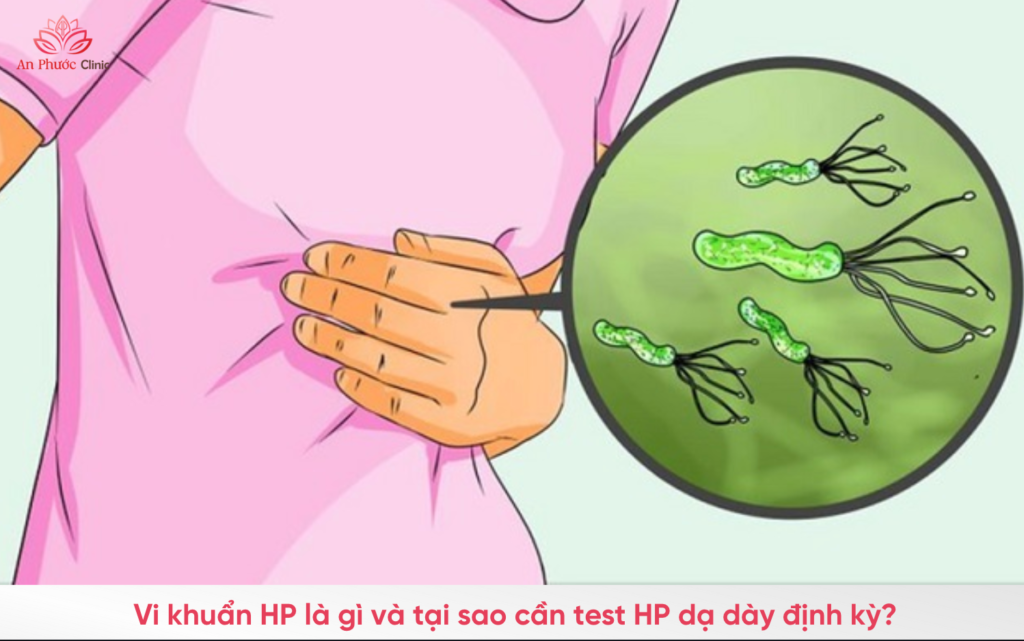 Vi khuẩn HP